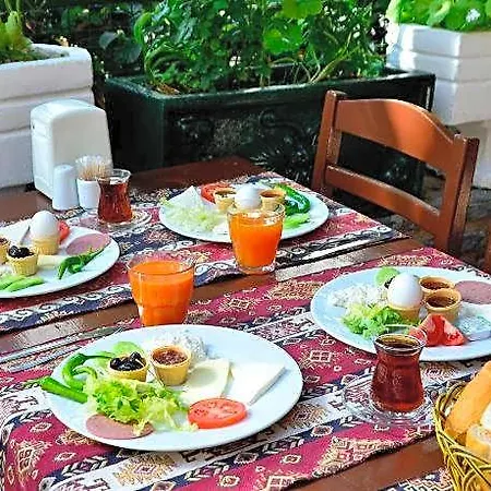 Sevin Bodrum